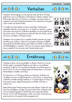Vorschau - Arbeitsblätter - Panda MEGABUNDLE - Wissenskartei, Lückentext, Steckbrief, Suchsel - Seite 3