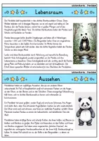 Vorschau - Arbeitsblätter - Panda MEGABUNDLE - Wissenskartei, Lückentext, Steckbrief, Suchsel - Seite 2