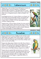 Vorschau - Bildkarten - Papagei - Wissenskartei - Tiere - Seite 1