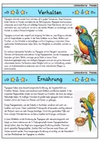 Vorschau - Bildkarten - Papagei - Wissenskartei - Tiere - Seite 2