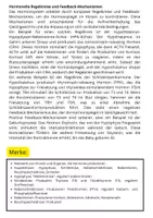 Vorschau - Arbeitsblätter - Hormonsystem: Funktionen, Regulation und Hormone im Überblick - Seite 2