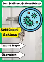 Vorschau - Arbeitsblätter - Schlüssel-Schloss-Prinzip Biologie: Enzyme, Antikörper, Hormone erklärt - Deckblatt