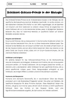 Vorschau - Arbeitsblätter - Schlüssel-Schloss-Prinzip Biologie: Enzyme, Antikörper, Hormone erklärt - Seite 1