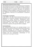 Vorschau - Arbeitsblätter - Schlüssel-Schloss-Prinzip Biologie: Enzyme, Antikörper, Hormone erklärt - Seite 2