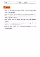 Vorschau - Arbeitsblätter - Schlüssel-Schloss-Prinzip Biologie: Enzyme, Antikörper, Hormone erklärt - Seite 3