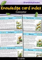 Vorschau - Bildkarten - Caterpillar - Knowledge card index - Animals (English) - Deckblatt