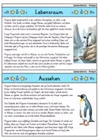 Vorschau - Arbeitsblätter - Pinguin MEGABUNDLE - Wissenskartei, Lückentext, Steckbrief, Suchsel - Seite 2