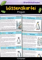 Vorschau - Arbeitsblätter - Pinguin MEGABUNDLE - Wissenskartei, Lückentext, Steckbrief, Suchsel - Seite 1