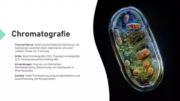 Vorschau - Präsentationen/Tafelbilder - Unterrichtseinstieg: Fachliche Verfahren in Biologie - Seite 3