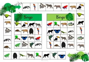 Vorschau - Spiele - Würfel Bingo Regenwald - 4-fach differenziert - Seite 2