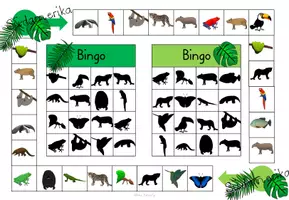 Vorschau - Spiele - Würfel Bingo Regenwald - 4-fach differenziert - Seite 3
