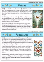 Vorschau - Bildkarten - Butterfly - Knowledge card index - Animals (English) - Seite 1