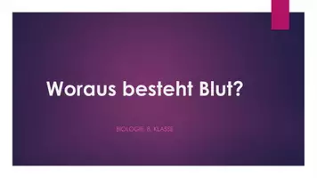 Vorschau - Stundenentwürfe - Blutmodell in Gruppenarbeit mit Hülsenfrüchten - Deckblatt