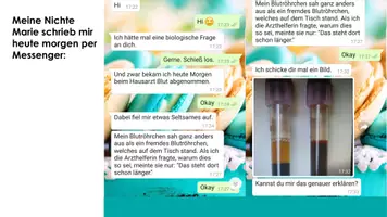 Vorschau - Stundenentwürfe - Blutmodell in Gruppenarbeit mit Hülsenfrüchten - Seite 1