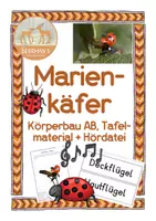Vorschau - Arbeitsblätter - Marienkäfer Körperbau - Deckblatt