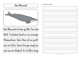 Vorschau - Anderer Materialtyp - Leben im Meer - Differenzierte Tafel-, Ansage und Abschreibtexte - Seite 1