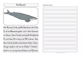 Vorschau - Anderer Materialtyp - Leben im Meer - Differenzierte Tafel-, Ansage und Abschreibtexte - Seite 2