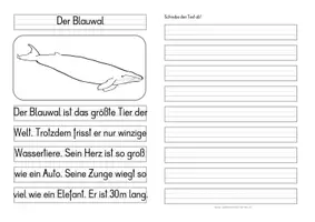 Vorschau - Anderer Materialtyp - Leben im Meer - Differenzierte Tafel-, Ansage und Abschreibtexte - Seite 3