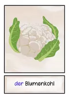 Vorschau - Bildkarten - 46 schöne Bildkarten für den DaF-/DaZ-Unterricht mit Artikel (Deutsch und Österreichisch) - Seite 3