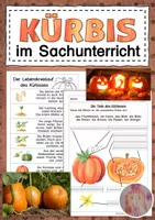 Vorschau - Arbeitsblätter - Der Kürbis im Sachunterricht - Deckblatt