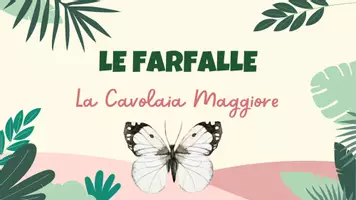 anteprima - Presentazioni / Lavagne - Presentazione-guida sulle farfalle (la cavolaia) - Pagina di copertina