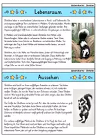 Vorschau - Bildkarten - Stinktier - Wissenskartei - Tiere - Seite 1