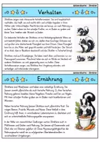Vorschau - Bildkarten - Stinktier - Wissenskartei - Tiere - Seite 2