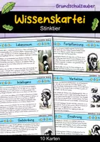 Vorschau - Bildkarten - Stinktier - Wissenskartei - Tiere - Deckblatt