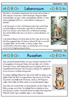 Vorschau - Arbeitsblätter - Tiger MEGABUNDLE - Wissenskartei, Lückentext, Steckbrief, Suchsel - Seite 2