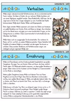 Vorschau - Arbeitsblätter - Wolf MEGABUNDLE - Wissenskartei, Lückentext, Steckbrief, Suchsel - Seite 3