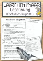 Vorschau - Anderer Materialtyp - Leben im Meer - Leseübung (Fisch oder Säugetier?) - Deckblatt