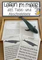 Vorschau - Anderer Materialtyp - Leben im Meer - Differenzierte Tafel-, Ansage und Abschreibtexte - Deckblatt