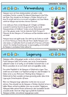 Vorschau - Bildkarten - Aubergine - Wissenskartei - Gemüse - Seite 3