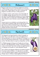 Vorschau - Arbeitsblätter - Aubergine MEGABUNDLE - Wissenskartei, Lückentext, Steckbrief, Suchsel - Seite 2