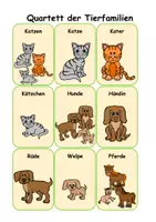 Vorschau - Spiele - Quartett der Tierfamilien #homeschooling - Deckblatt