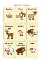 Vorschau - Spiele - Quartett der Tierfamilien #homeschooling - Seite 3
