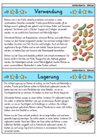 Vorschau - Bildkarten - Bohnen - Wissenskartei - Gemüse - Seite 3