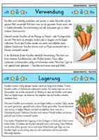 Vorschau - Bildkarten - Karotte - Wissenskartei - Gemüse - Seite 3