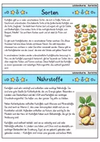 Vorschau - Bildkarten - Kartoffel - Wissenskartei - Gemüse - Seite 2