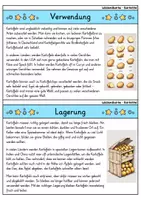 Vorschau - Bildkarten - Kartoffel - Wissenskartei - Gemüse - Seite 3