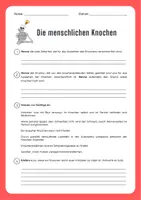 Vorschau - Arbeitsblätter - Knochenaufbau - Lesetext und Arbeitsblatt mit Glossar - Seite 3