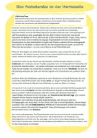 Vorschau - Stundenentwürfe - Aufbau und Funktion der Nervenzelle - Seite 3