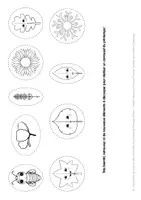Aperçu - Préparation de séance / Séance complète - Les éditions Sésames - Le manège des quatre saisons - Page 3