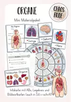 Vorschau - Arbeitsblätter - Organe - Wortspeicher, Legekreis, Infokartei und Steckbriefe - Deckblatt