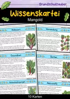 Vorschau - Bildkarten - Mangold - Wissenskartei - Gemüse - Deckblatt