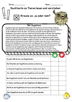 Vorschau - Arbeitsblätter - Der Kugelfisch Sachtexte lesen und verstehen - Deckblatt