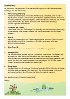 Vorschau - Fördermaterial/Inklusion - Erstes Lesen mit Momel bis Ff- Freiarbeitsübungen - Seite 1