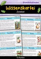 Vorschau - Bildkarten - Zwiebel - Wissenskartei - Gemüse - Deckblatt