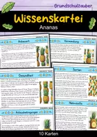 Vorschau - Bildkarten - Wissenskartei - 40 Obstsorten - Obst Materialpaket - Seite 1