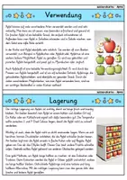 Vorschau - Bildkarten - Apfel - Wissenskartei - Obst - Seite 3